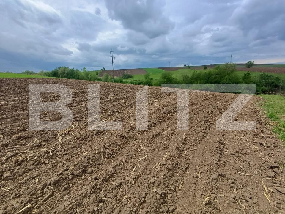 Teren de vânzare Periferie - 194701TV | BLITZ Suceava | Poza2