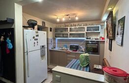 Apartament 2 camere, etaj intermediar, zona Catedrala