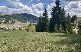 Teren în Vatra Dornei, str Roșu, 8450 mp, extravilan + intravilan 