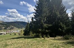 Teren în Vatra Dornei, str Roșu, 8450 mp, extravilan + intravilan 