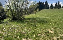 Teren în Vatra Dornei, str Roșu, 8450 mp, extravilan + intravilan 