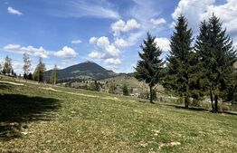 Teren în Vatra Dornei, str Roșu, 8450 mp, extravilan + intravilan 