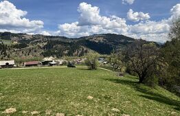 Teren în Vatra Dornei, str Roșu, 8450 mp, extravilan + intravilan 