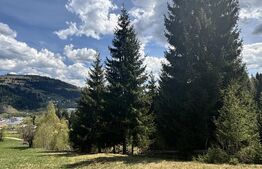 Teren în Vatra Dornei, str Roșu, 8450 mp, extravilan + intravilan 