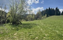 Teren în Vatra Dornei, str Roșu, 8450 mp, extravilan + intravilan 
