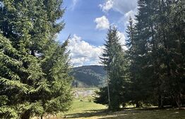 Teren în Vatra Dornei, str Roșu, 8450 mp, extravilan + intravilan 