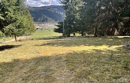 Teren în Vatra Dornei, str Roșu, 8450 mp, extravilan + intravilan 
