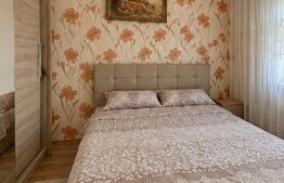Apartament luminos și confortabil, 2 camere, etajul 3 - Obcini