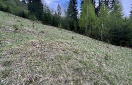 Teren extravilan, 2.8 ha, în zona Șandru, Câmpulung Moldovenesc