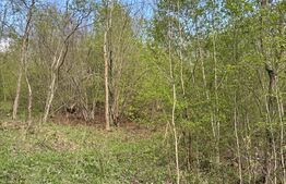 Teren extravilan, 2.8 ha, în zona Șandru, Câmpulung Moldovenesc