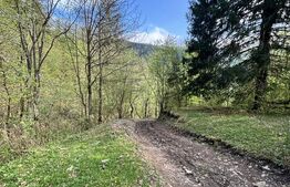 Teren extravilan, 2.8 ha, în zona Șandru, Câmpulung Moldovenesc