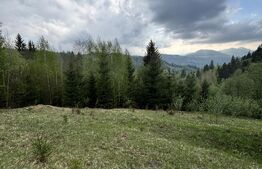 Teren extravilan, 2.8 ha, în zona Șandru, Câmpulung Moldovenesc