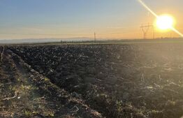 Teren Intravilan - 3600mp - Forăști, Fălticeni