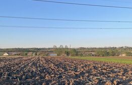 Teren Intravilan - 3600mp - Forăști, Fălticeni