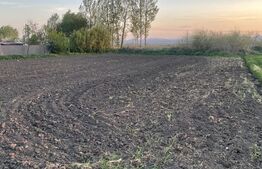 Teren Intravilan - 3600mp - Forăști, Fălticeni