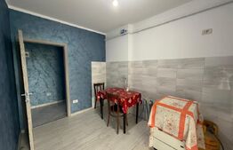 Apartament 2 camere, etj 1, Radauti