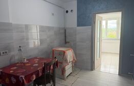 Apartament 2 camere, etj 1, Radauti