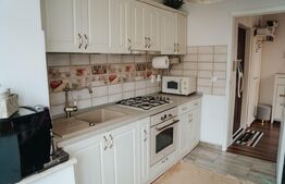 Apartament 2 camere, 51 mp, etaj intermediar, zona Centrala