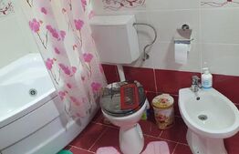 Casă modernă 7 camere, 246 mp, utilata, mobilata, zona Saru Dornei
