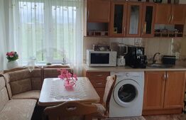 Casă modernă 7 camere, 246 mp, utilata, mobilata, zona Saru Dornei