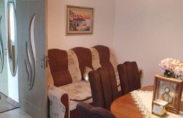 Casă modernă 7 camere, 246 mp, utilata, mobilata, zona Saru Dornei