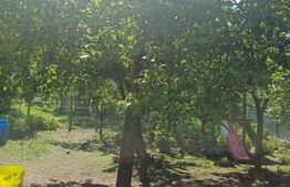 Casă de locuit si spatiu comercial, teren 7300 mp, Hreatca, com. Vulturesti