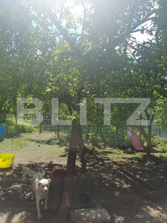 Casa de vânzare 3 camere Exterior Sud - 195315CV | BLITZ Suceava | Poza6