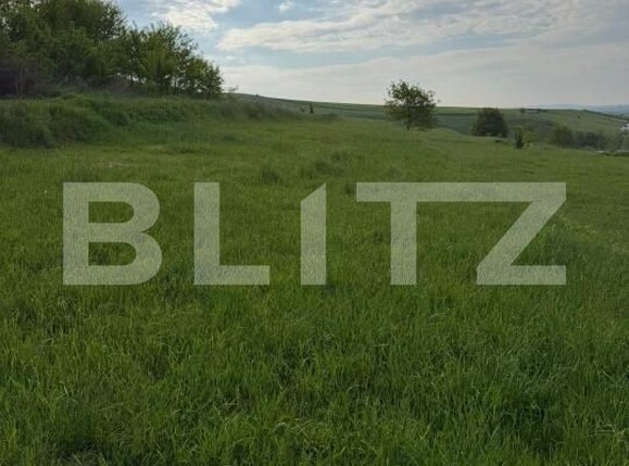 Teren de vânzare Periferie - 195422TV | BLITZ Suceava | Poza1