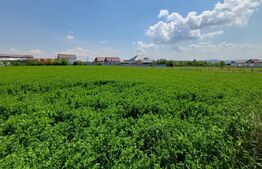 Teren de vanzare intravilan, 72 ari, zona Salcea