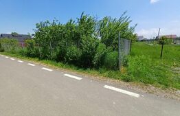 Teren de vanzare intravilan, 72 ari, zona Salcea