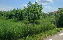 Teren de vanzare intravilan, 72 ari, zona Salcea