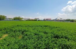 Teren de vanzare intravilan, 72 ari, zona Salcea