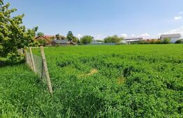 Teren de vanzare intravilan, 72 ari, zona Salcea