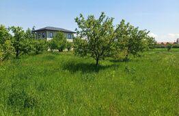 Teren de vanzare intravilan, 72 ari, zona Salcea