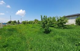 Teren de vanzare intravilan, 72 ari, zona Salcea