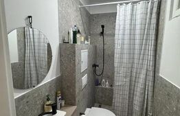 Garsonieră 1 cameră, 24 mp, mobilată și utilată, zona Ipotești