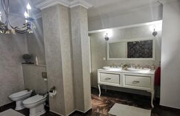 Apartament cu 4 camere, 170 mp, pretabil si spatiu comercial, zona Belvedere