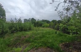 Teren intravilan, 2300mp, zona Hardic, Horodnic de Sus, Radauti