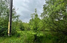 Teren intravilan, 2300mp, zona Hardic, Horodnic de Sus, Radauti