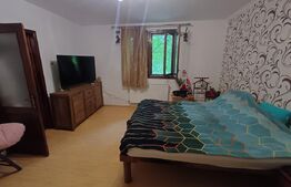 Casă cu 5 camere, 252 mp, 17 ari teren, Ipotesti