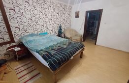 Casă cu 5 camere, 252 mp, 17 ari teren, Ipotesti