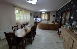 Casă cu 5 camere, 252 mp, 17 ari teren, Ipotesti