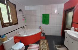 Casă cu 5 camere, 252 mp, 17 ari teren, Ipotesti