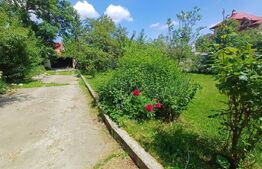 Casă cu 5 camere, 252 mp, 17 ari teren, Ipotesti