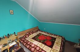 Casă cu 5 camere, 252 mp, 17 ari teren, Ipotesti