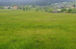 Teren intravilan, 9964 mp, zona Vatra Dornei