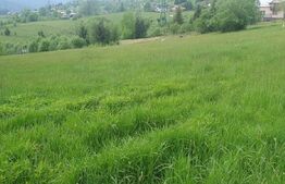 Teren intravilan, 9964 mp, zona Vatra Dornei