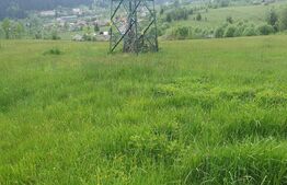 Teren intravilan, 9964 mp, zona Vatra Dornei