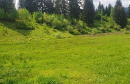 Teren intravilan, 2411 mp, zona Saru Dornei - Vatra Dornei