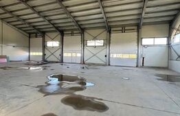 Hală nouă spre chirie 590 mp | Cumpărătura